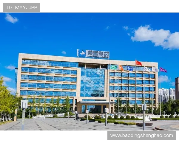 凯发真人集团最新动态:2024年游戏创新与用户体验提升方案